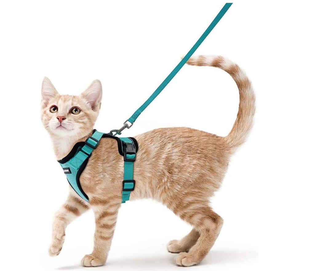 Rabbitgoo Cat Harness and Leash For Walking