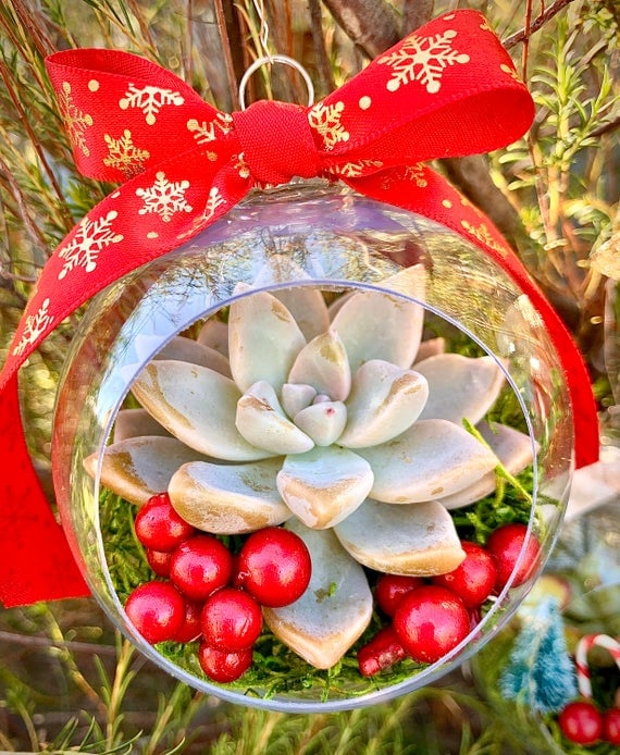 Etsy's Christmas-Themed Succulent Terrarium Ornaments