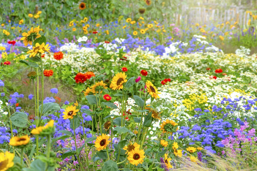 Visit your community's public gardens.