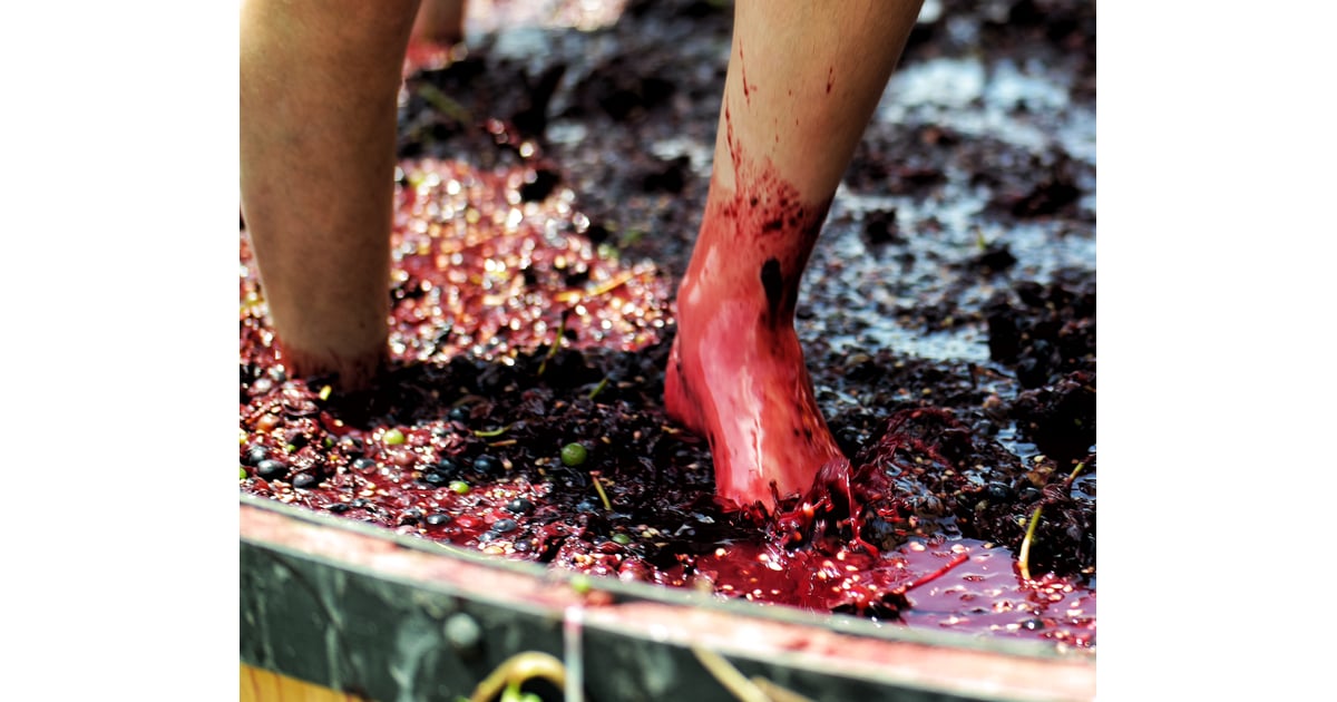Stomp on Grapes to Make Wine Things to Do Before You Die POPSUGAR Smart Living