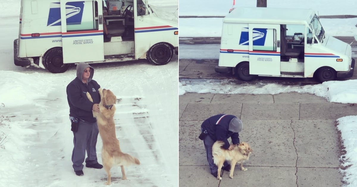 Videos of Golden Retriever and His Best Friend, the Mailman POPSUGAR Pets