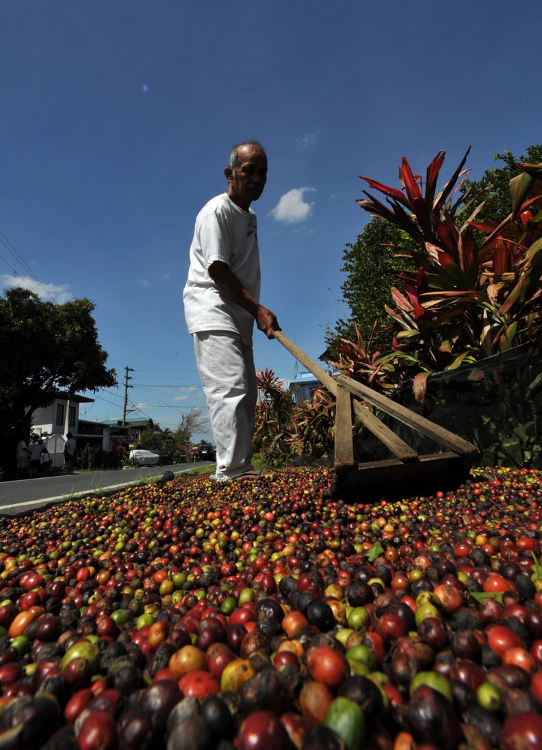 Dry, or natural, processing, is another.