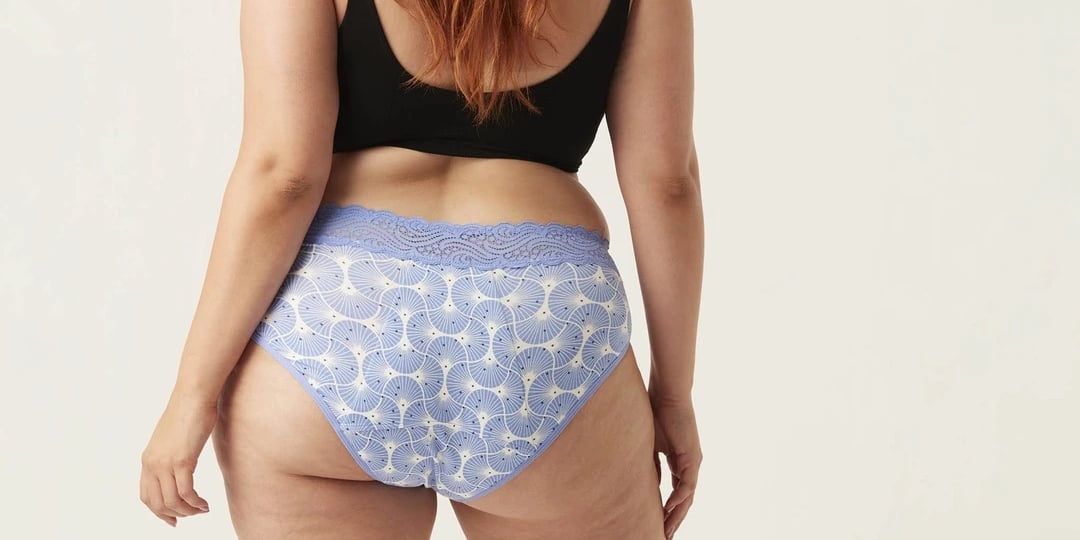 The comfiest undies yet: Women rave about Modibodi range that starts at  just $20 - and they suit any body type