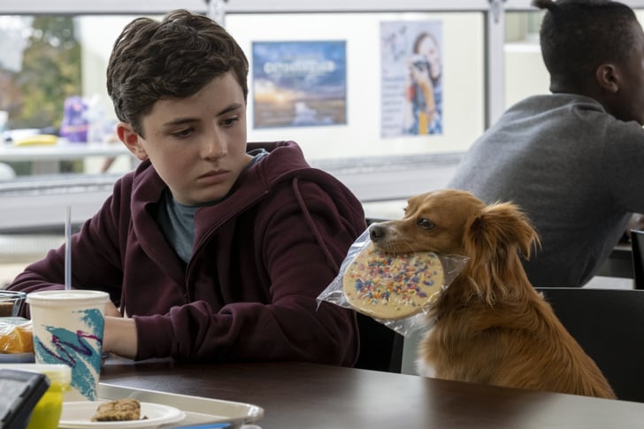 The Best Netflix Series For Kids 2020 Popsugar Family