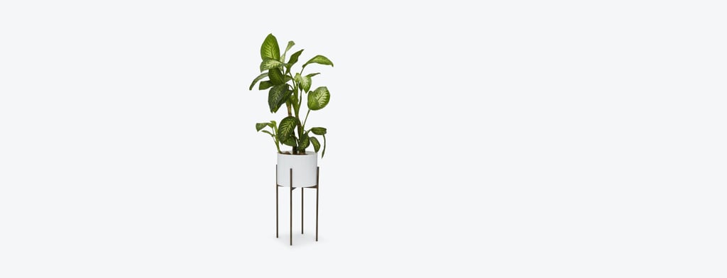 Joybird Jules White Planter