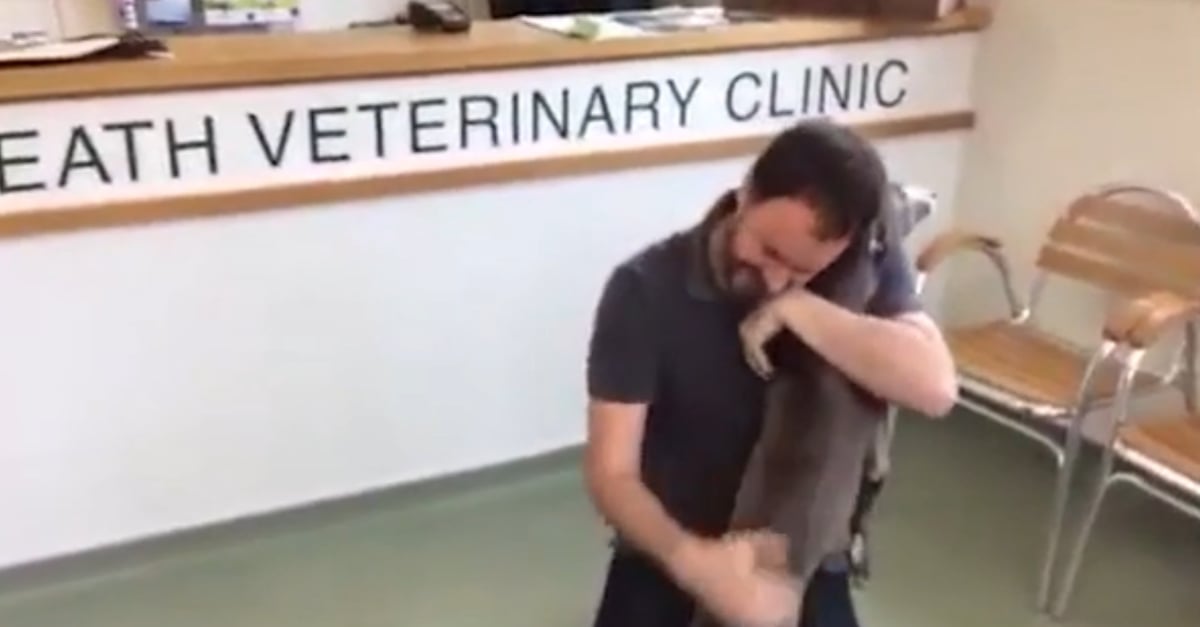Stolen Dog Reunited With Owner Thanks to Microchip | PS Tech