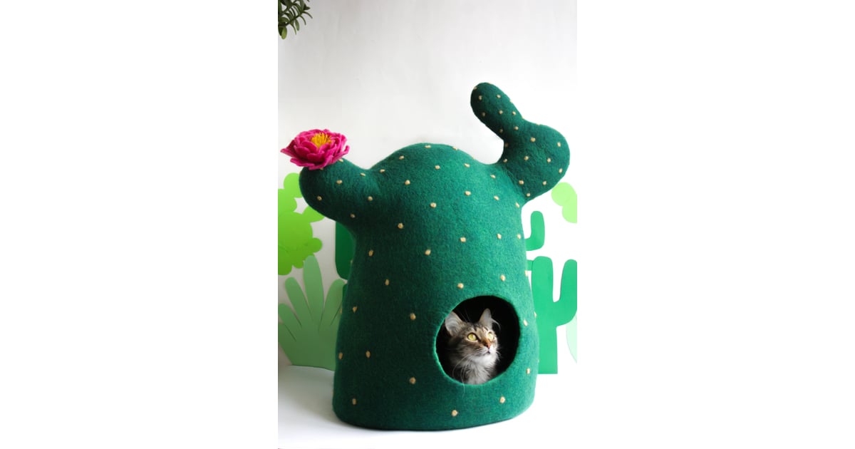 cactus cat bed