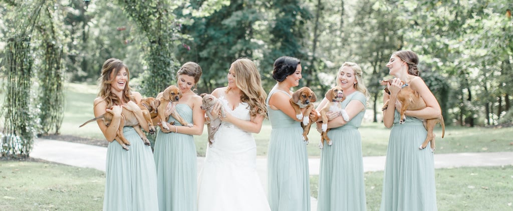 Bride Uses Puppies in Wedding Photos