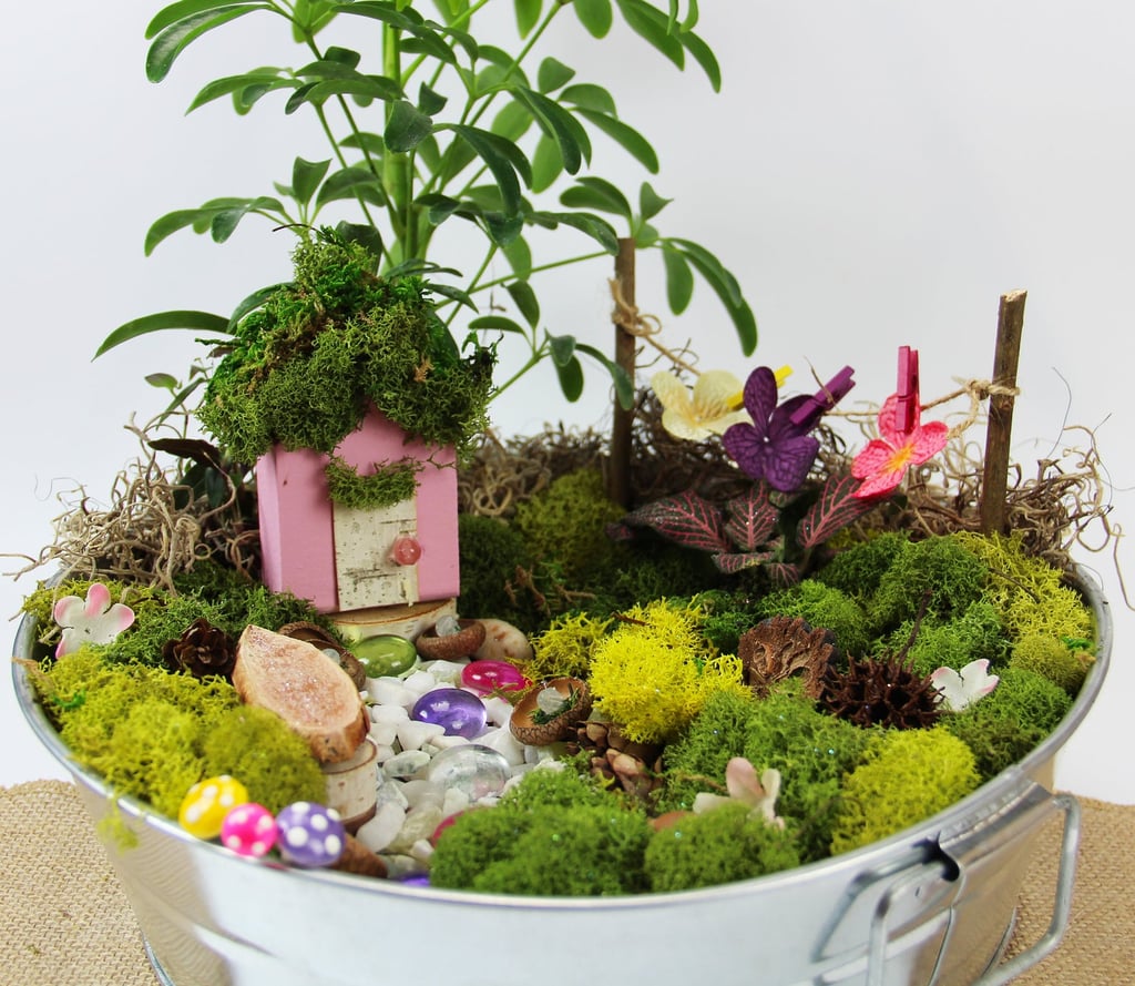 Fairy Garden Kit with Fairy House and Container