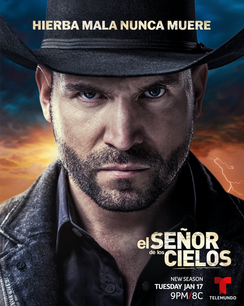 señor cielos 8 temporada capitulo 4