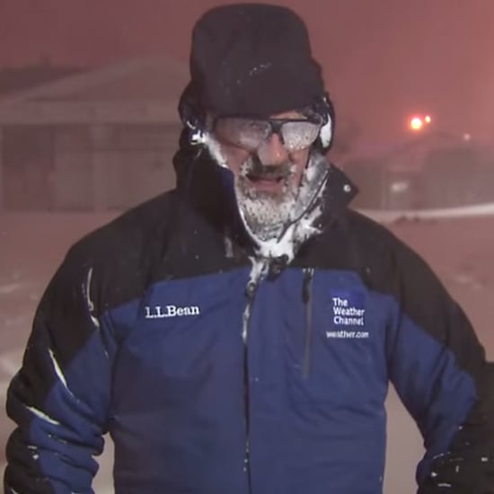 Meteorologist Freaks Out About Thundersnow | Video