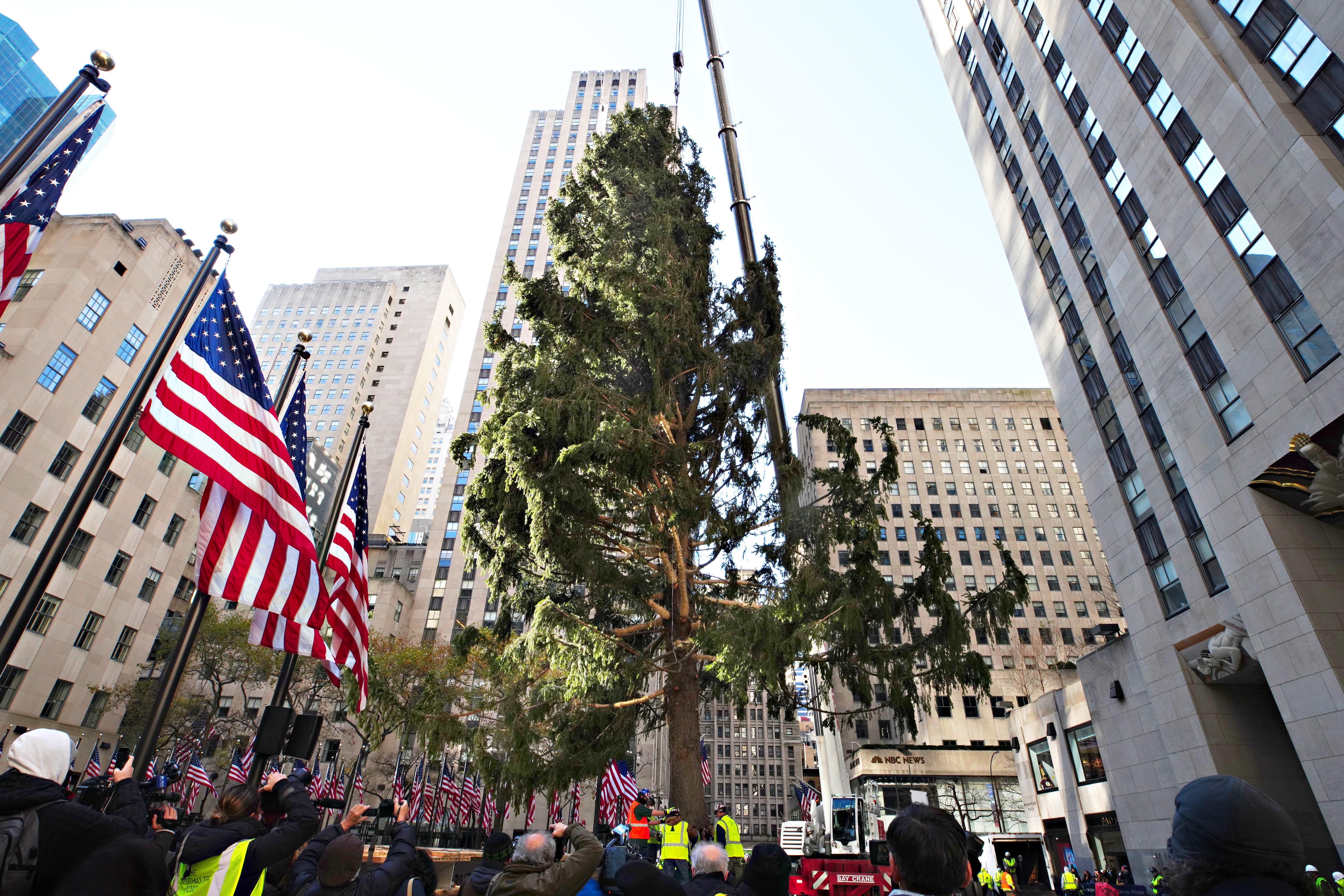 New York's Rockefeller Center Christmas Tree is causing hilarious reactions