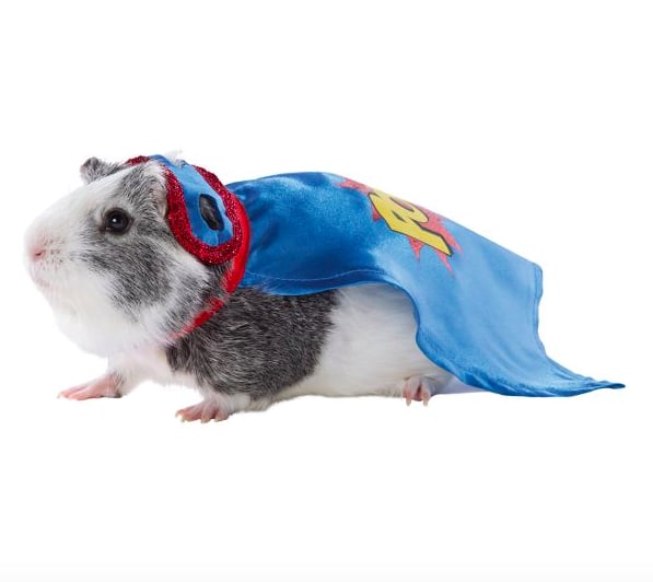 Thrills & Chills Small Pet Costume — Superhero