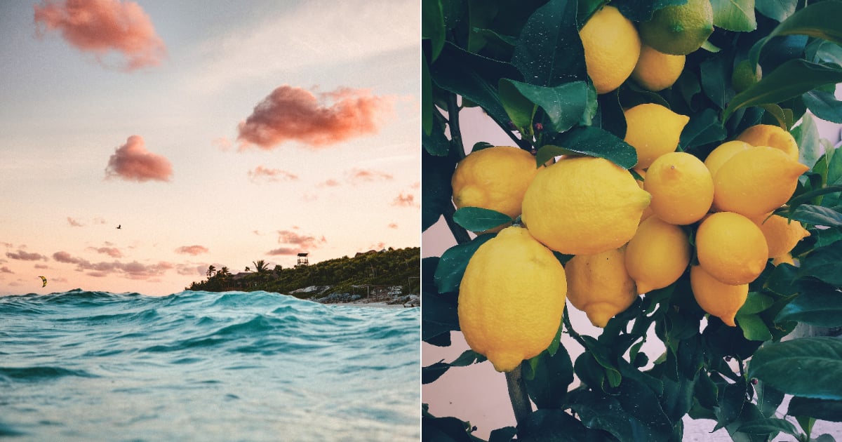 30 Hot Summer Wallpapers For IPhone Lockscreens