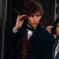 Fantastic Beasts Gives the Sweetest Nod to Ron and Hermione's Love Story
