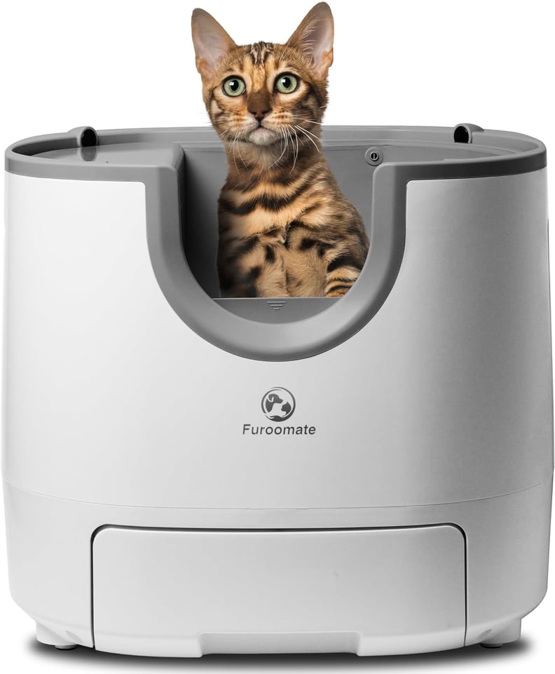 Best Self-Cleaning Litter Box With Open Top