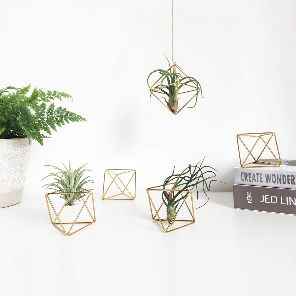 Most-Loved Home Find: Mkono Air Plant Holder