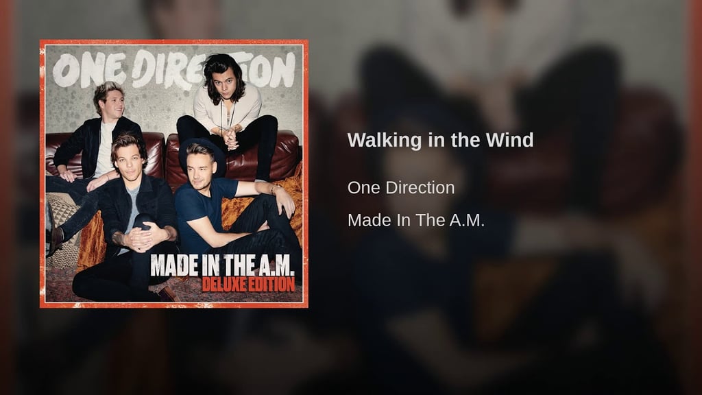 "Walking in the Wind" by One Direction