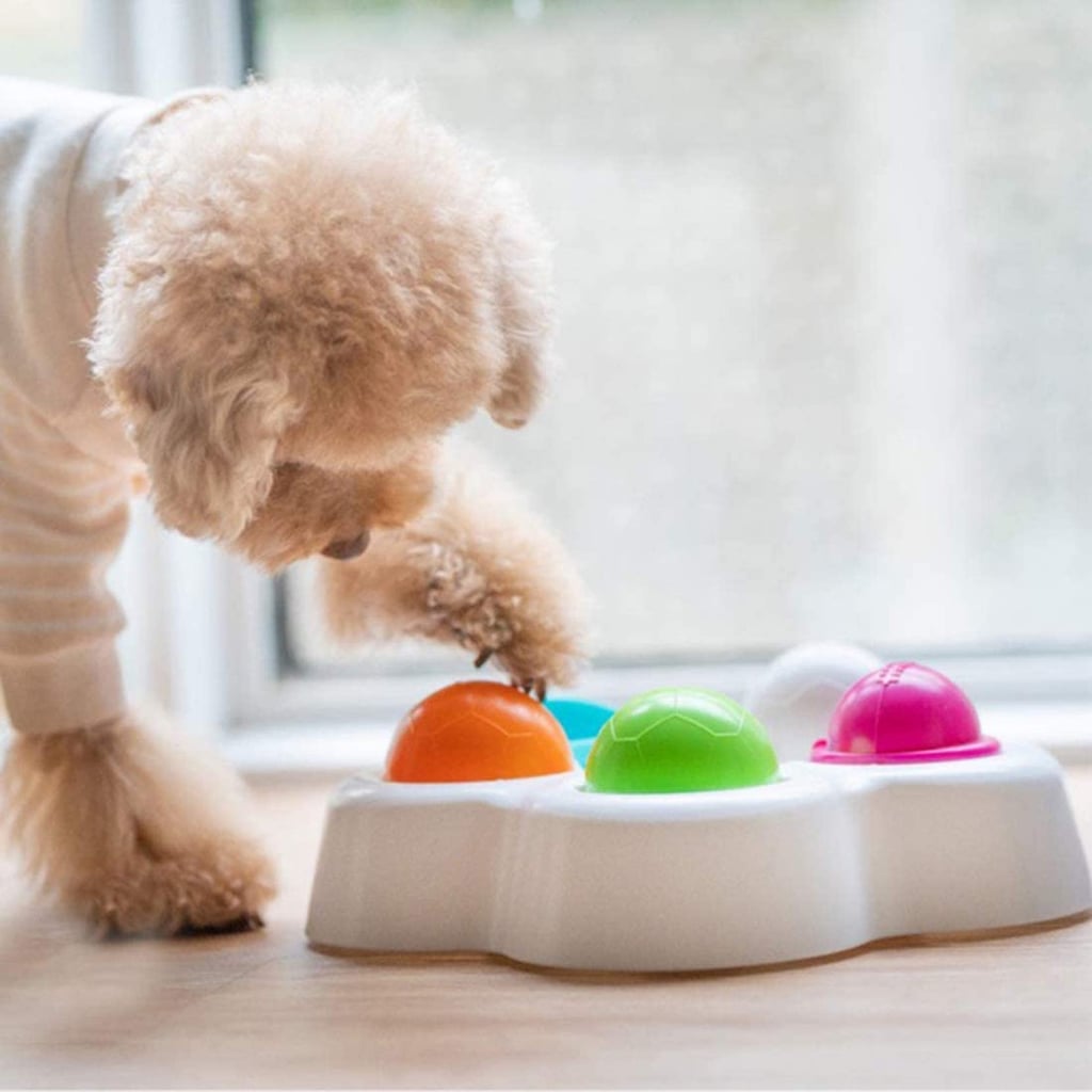 These 15 Interactive Toys Will Keep Your Dog Pleasantly Puzzled