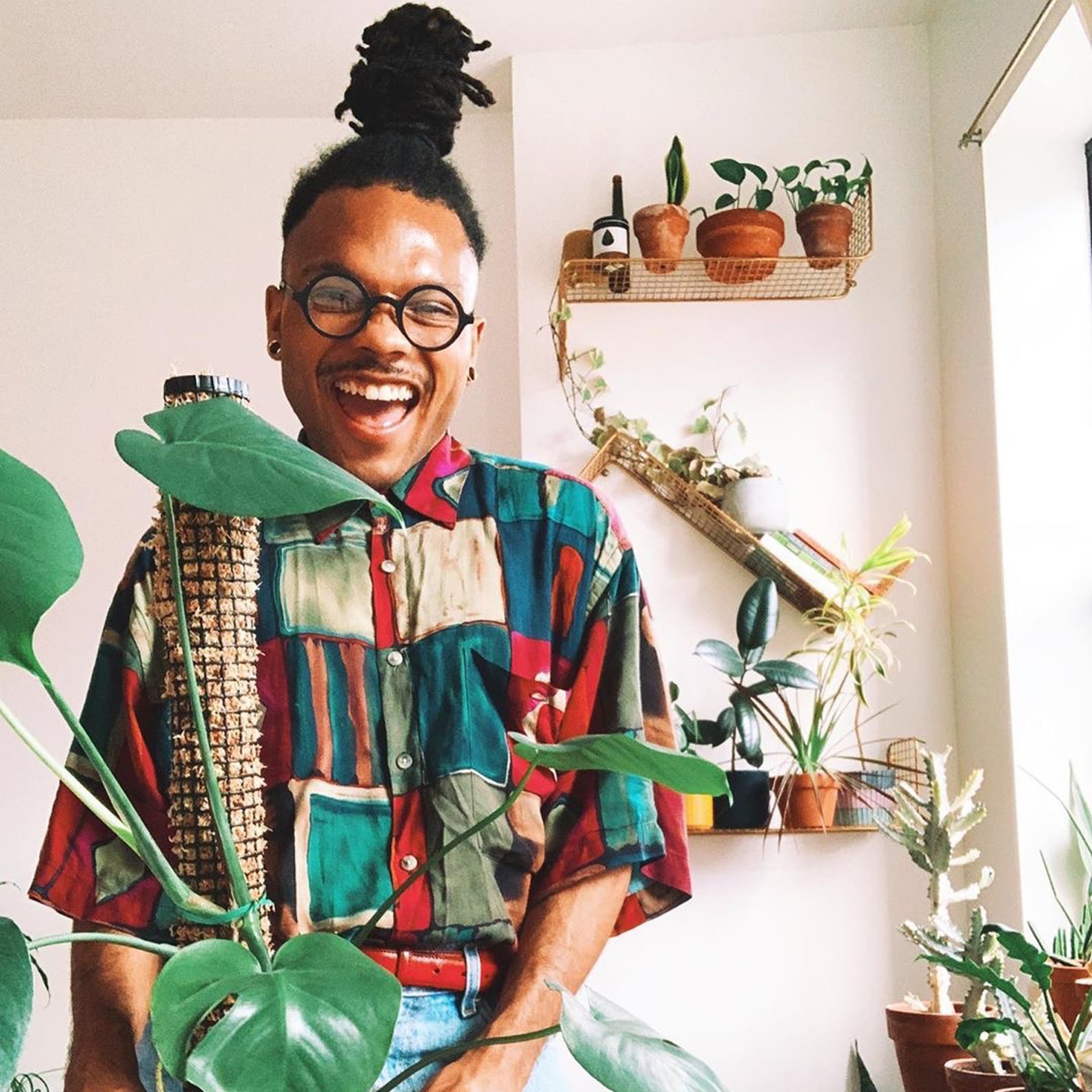 Best Instagram Accounts For PlantLovers POPSUGAR Home