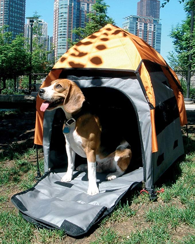 Portable Pet House