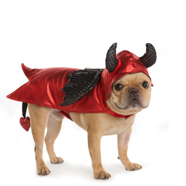 PetSmart Dog Halloween Costumes 2016 POPSUGAR Pets
