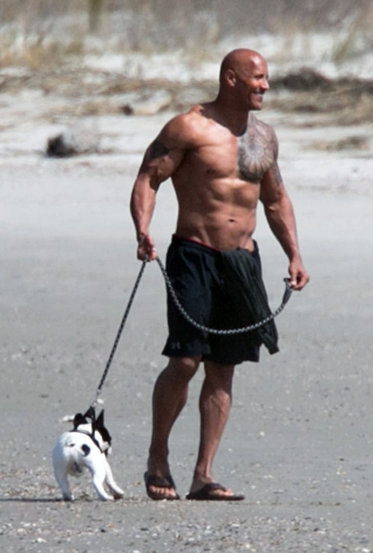 Dwayne Johnson Shirtless With Lauren Hashian Pictures 2016