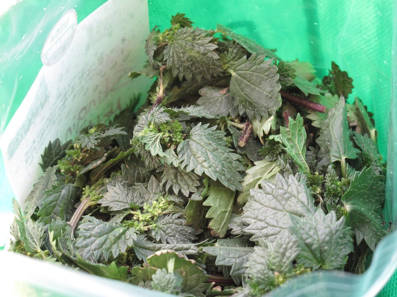 Nettles