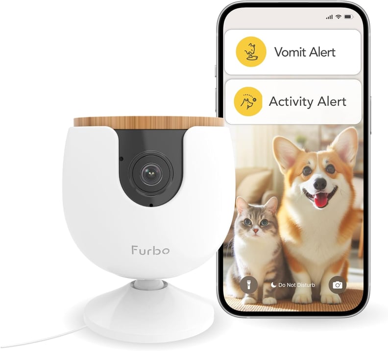 Best Pet Camera