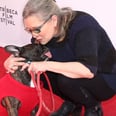 Carrie Fisher's Daughter, Billie Lourd, Will Get Her Therapy Dog, Gary