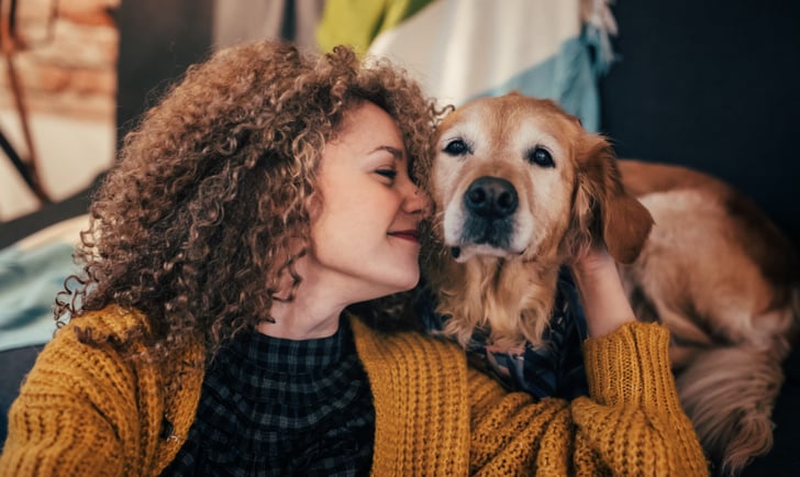 Golden retriever hot sale small apartment