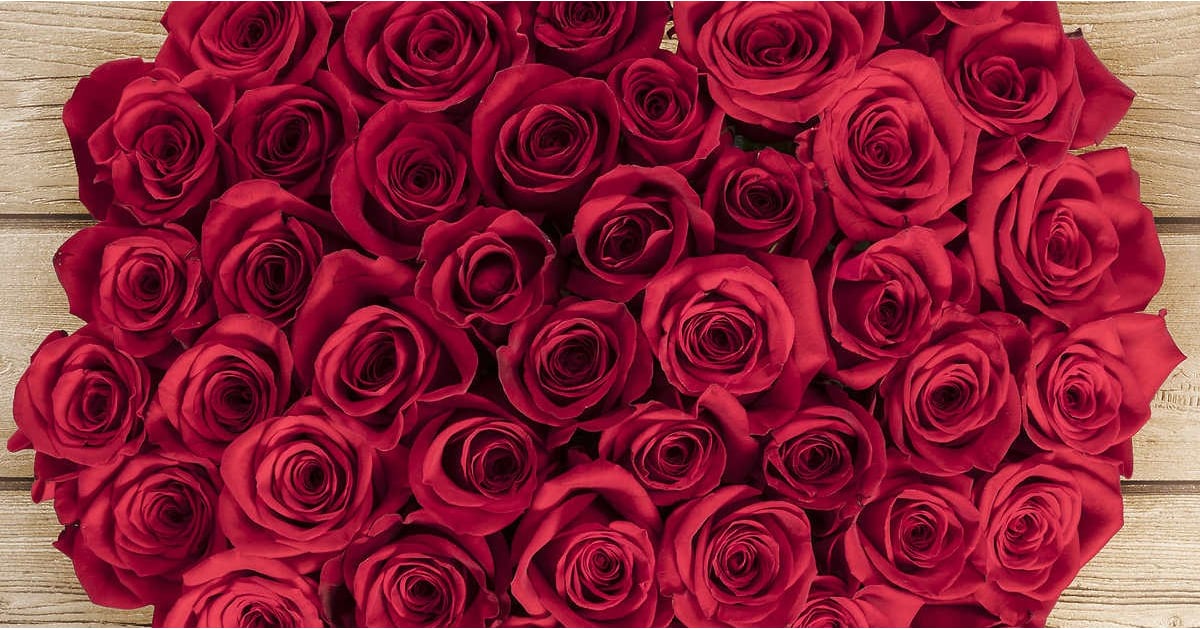 Best Deal For Valentine's Day Roses at Costco POPSUGAR Family