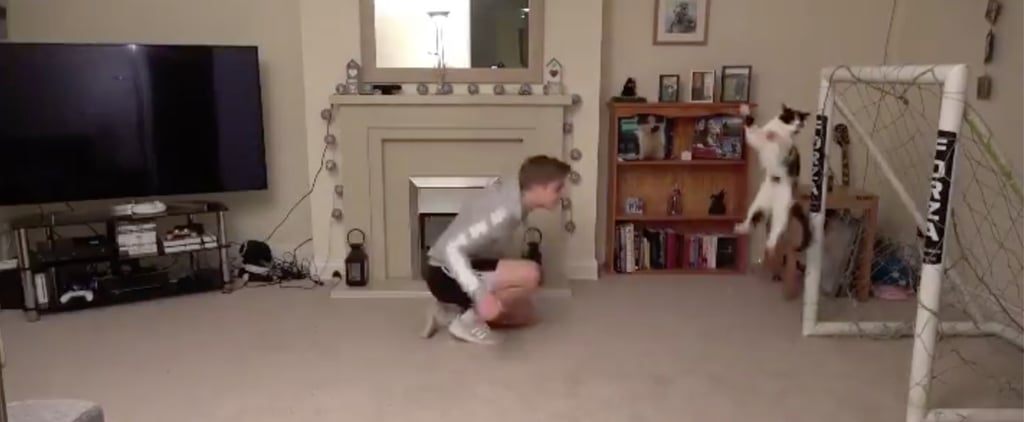 Video of Cat Defending the Goal While Playing Indoor Soccer