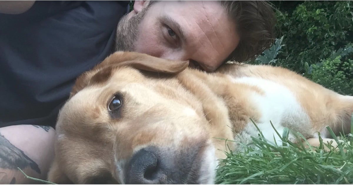 Tom Hardy S Dog Dies 2017 Popsugar Celebrity