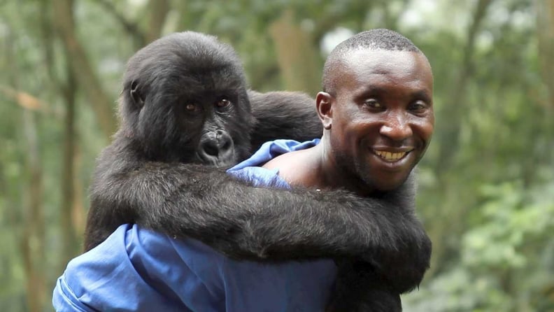 Virunga