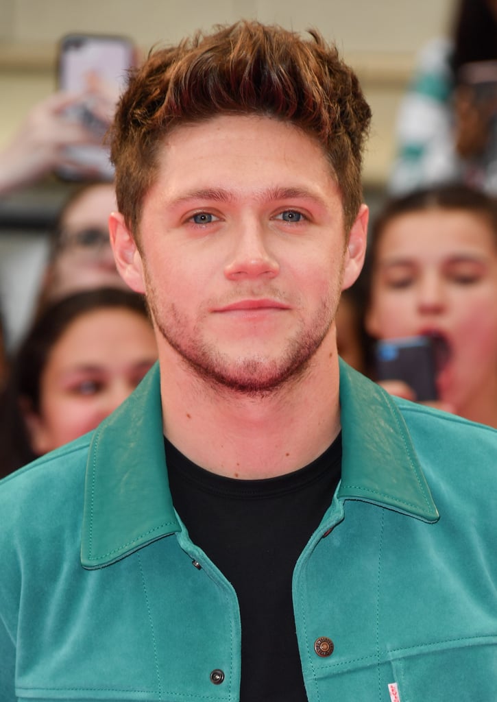 Hot Niall Horan Pictures