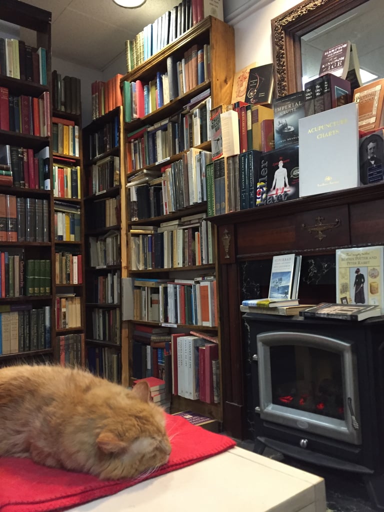 Book-Lover's Guide to Boston