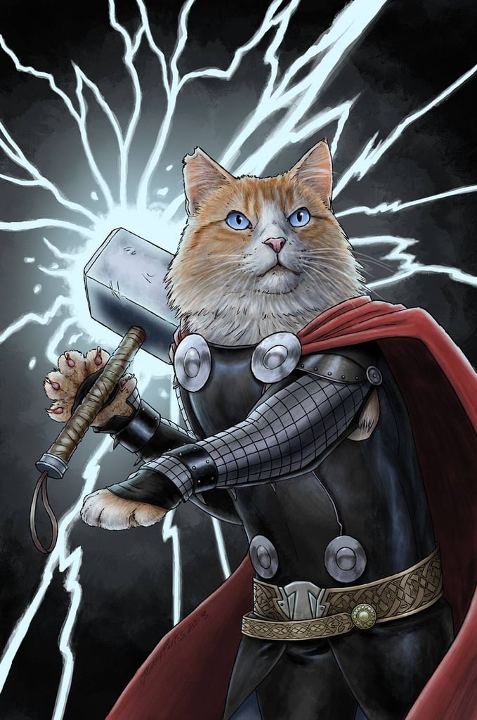 Thor (Cat)