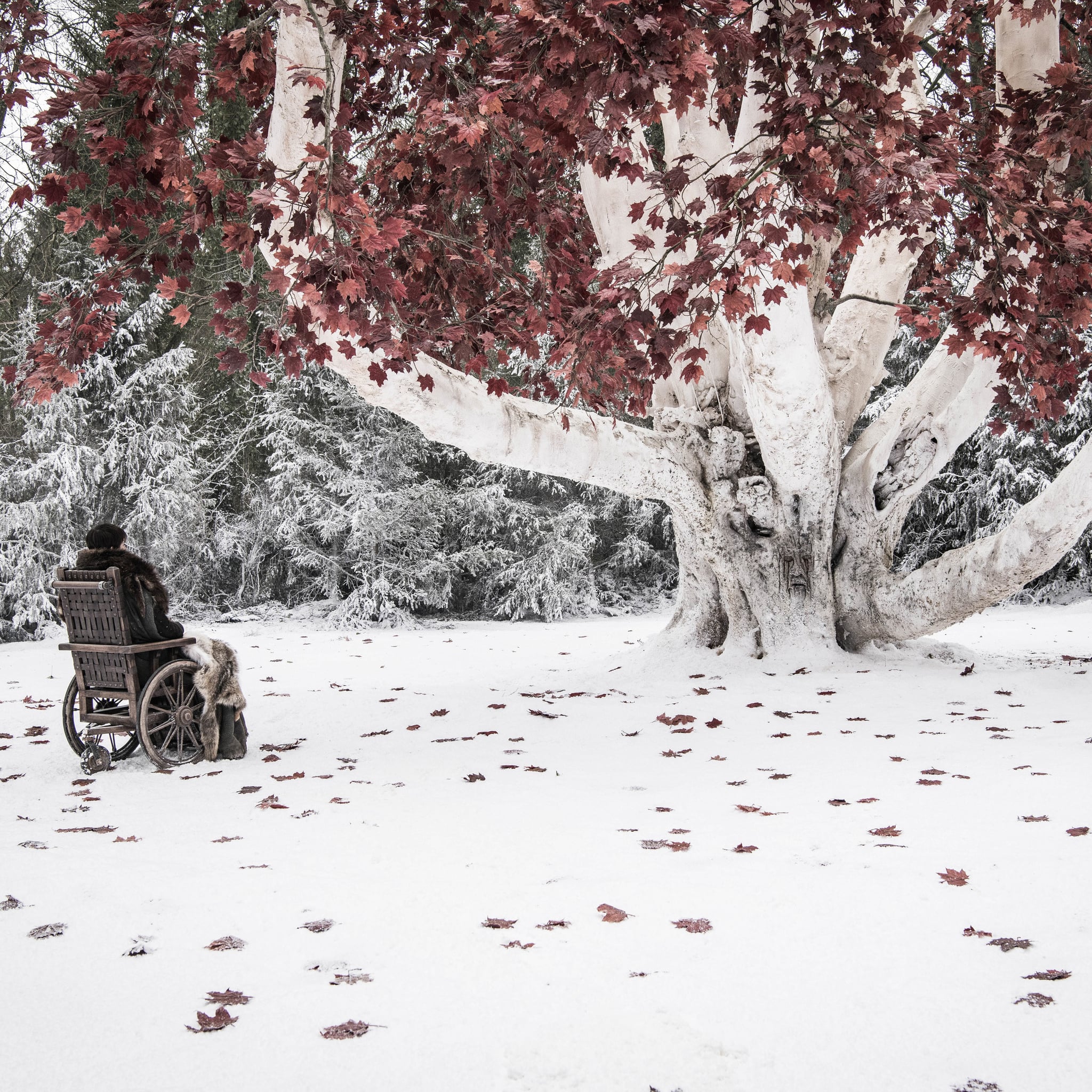 Why Were They Guarding The Weirwood Tree On Game Of Thrones