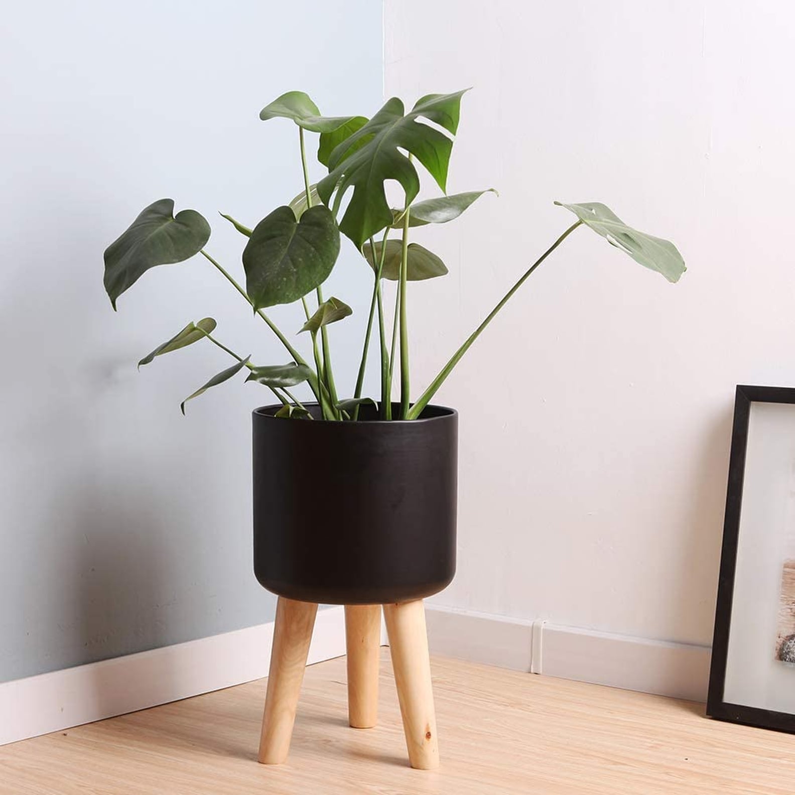 MidCentury Planters on Amazon Prime POPSUGAR Home