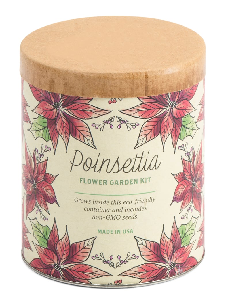 Poinsettia Wax Planter Grow Kit