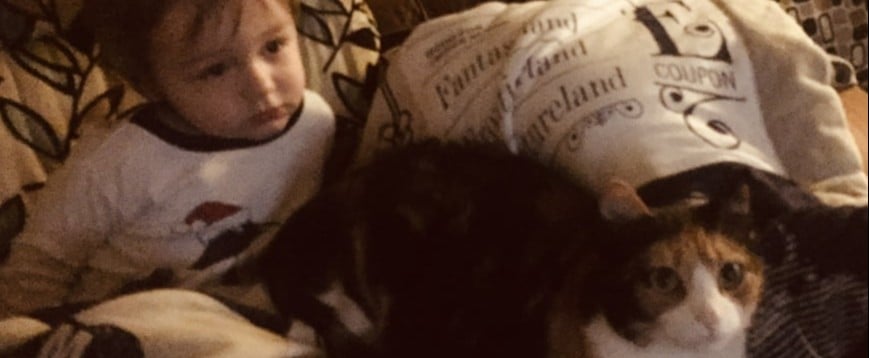 Should You Let Your Kids Be There When You Put Down a Pet?
