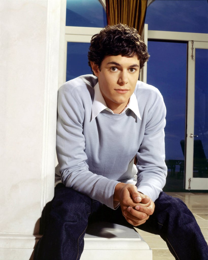 Adam Brody as Seth Cohen