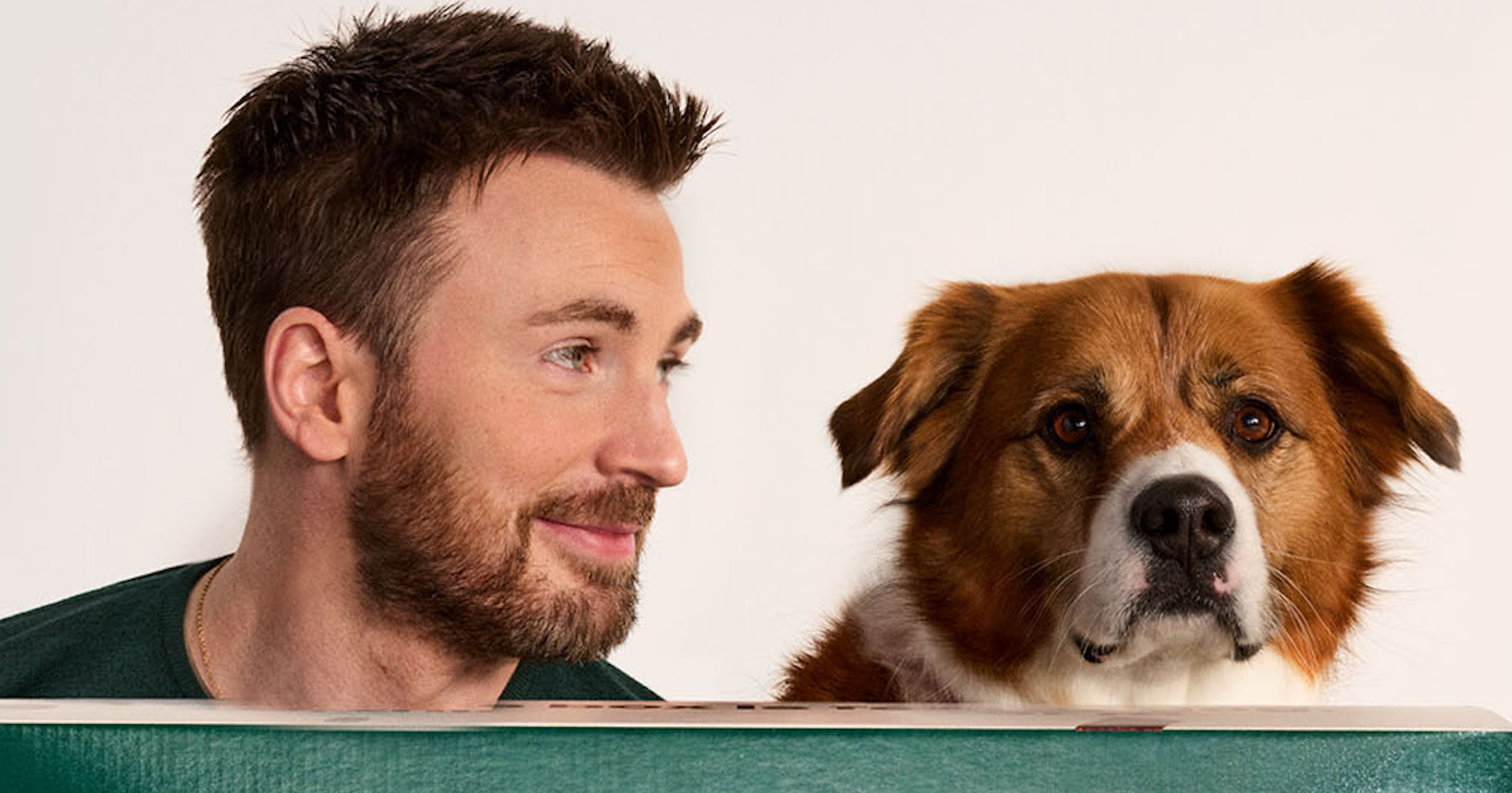 Chris Evans Says His Dog, Dodger, Is Possessive | POPSUGAR Celebrity