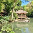 There's a Secret Island in the Middle of Texas, and It Actually Looks Pretty Awesome