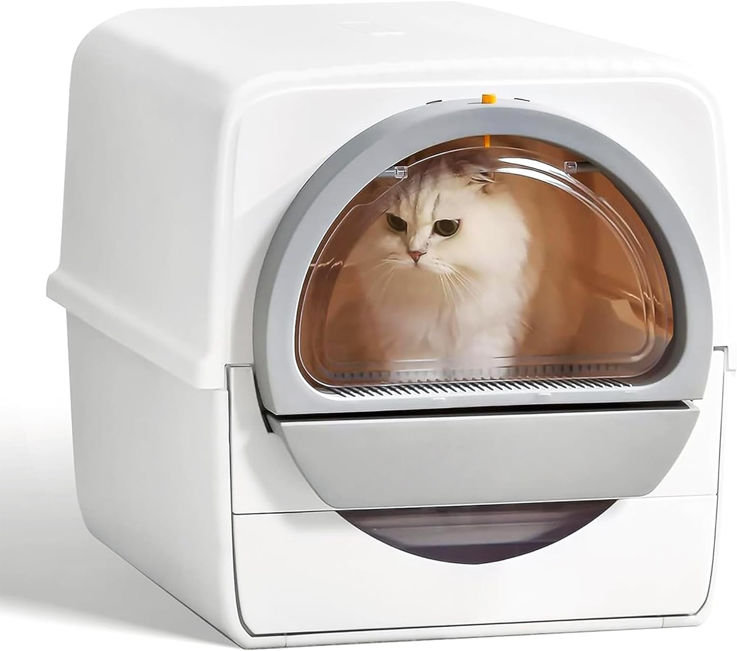 Best self cleaning litter box for large cats online