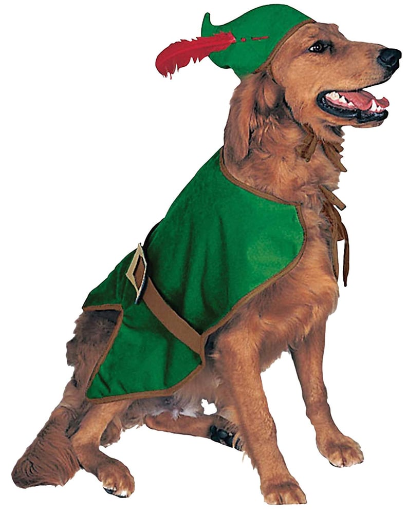 Robin Hood Pet Costume
