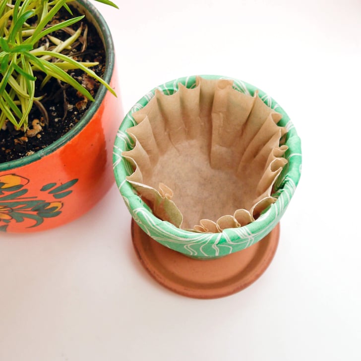 Line Plant Pots With a Coffee Filter POPSUGAR Smart Living