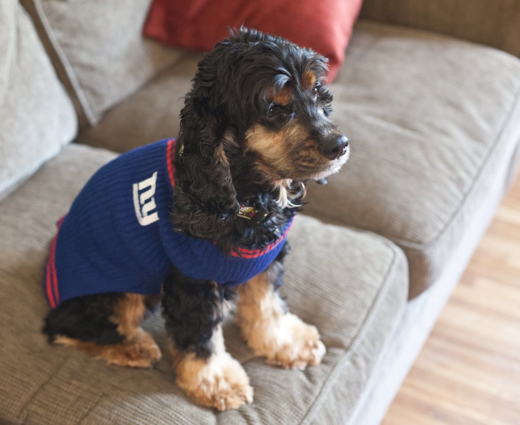 The Super Bowl champs' biggest fan.
Source: Flickr user neil conway