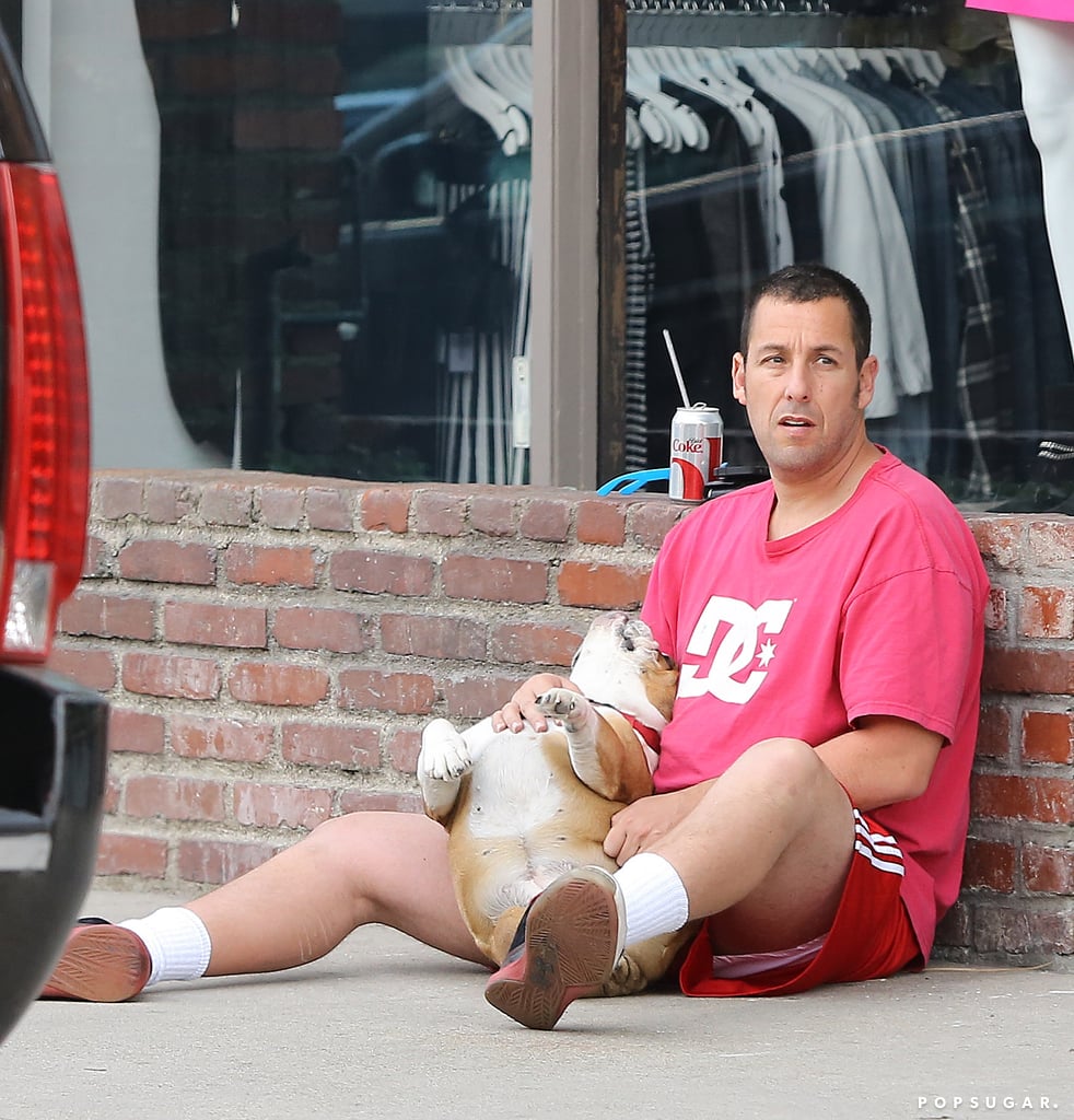 Adam Sandler gave his dog a belly rub while sitting on the sidewalk in LA on Sunday.